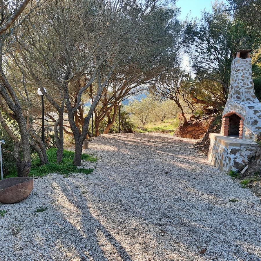 Hotel Valle Del Cedrino Galtellì 外观 照片