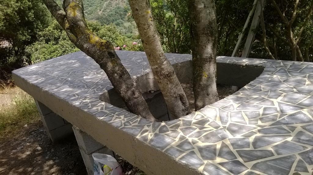 Hotel Valle Del Cedrino Galtellì 外观 照片