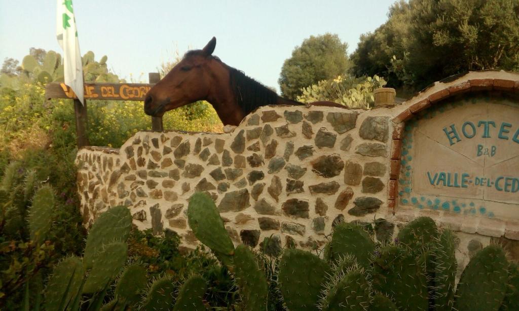Hotel Valle Del Cedrino Galtellì 外观 照片